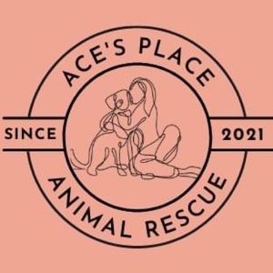 Meet your Posher, Ace